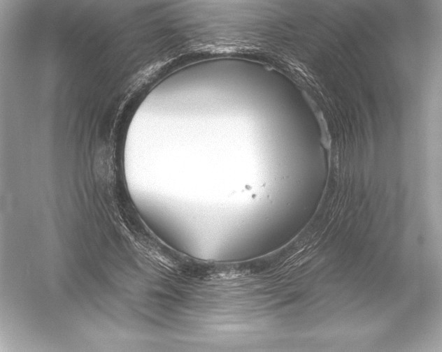 X0000051870540200507221926