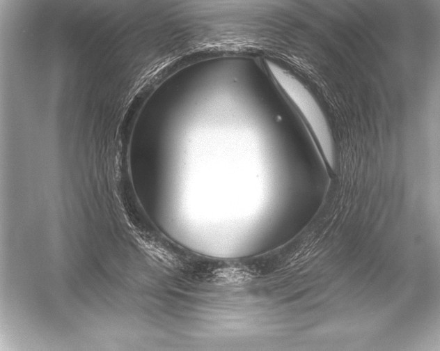 X0000051870544200507221926