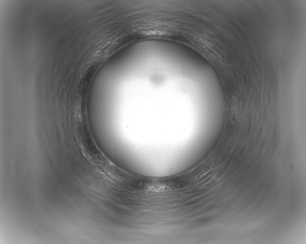 X0000051870547200507221926