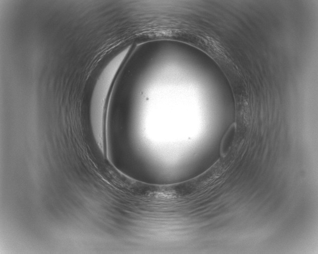 X0000051870548200507221926