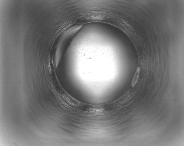X0000051870552200507221926
