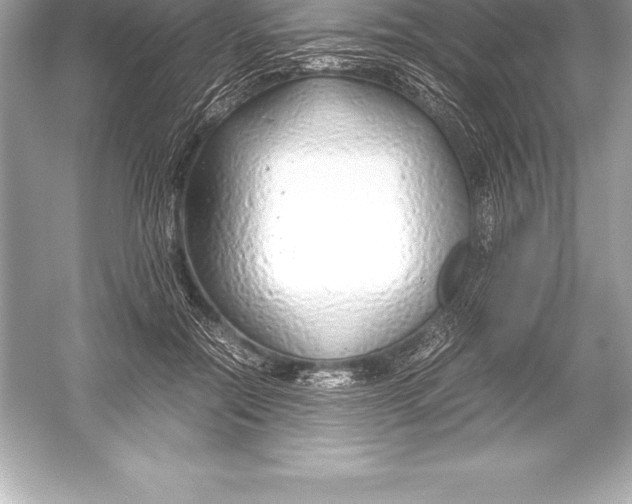 X0000051870554200507221926