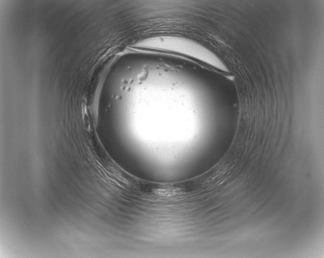 X0000051870556200507221926