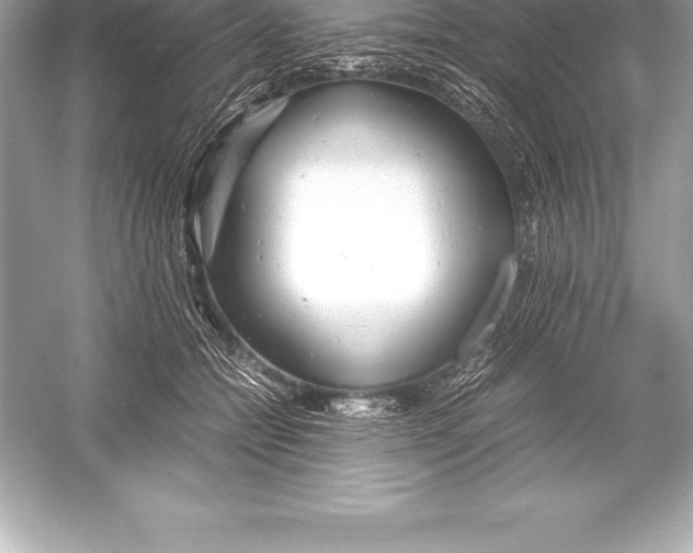X0000051870558200507221926