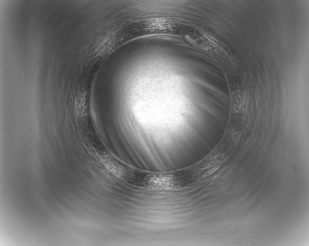 X0000051870560200507221926