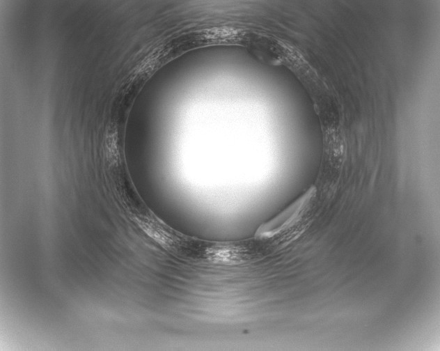 X0000051870564200507221926
