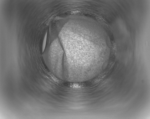 X0000051870565200507221926