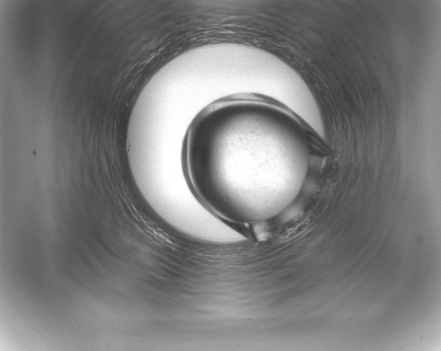 X0000051870566200507221926