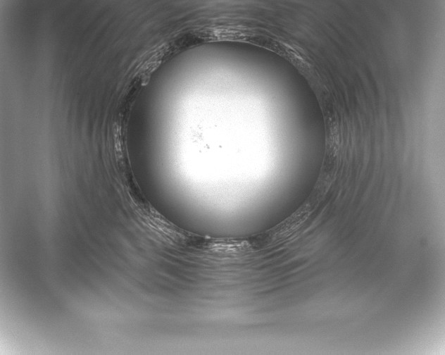 X0000051870571200507221926