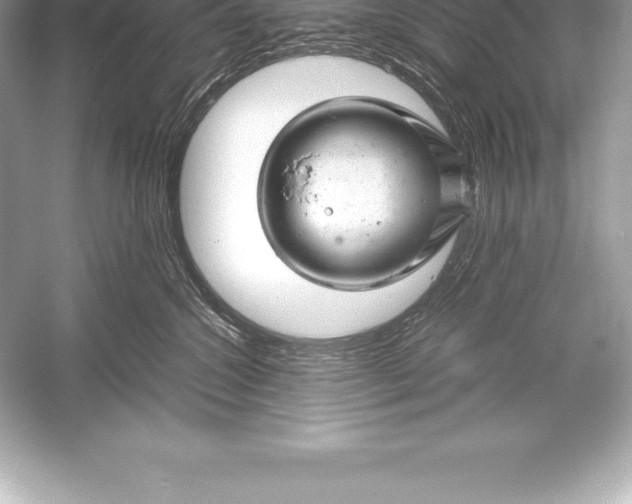 X0000051870572200507221926