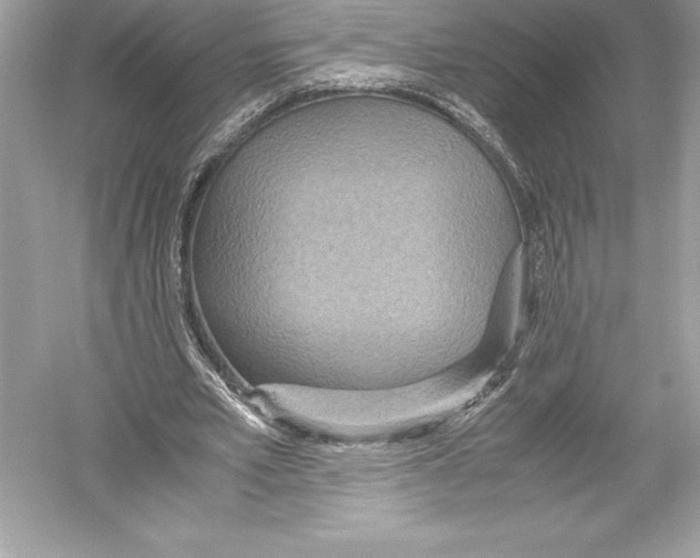 X0000051870581200507221925