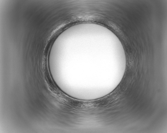 X0000051870583200507221925