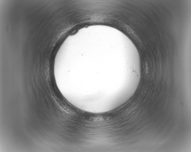X0000051870588200507221925