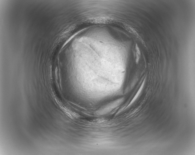 X0000051870589200507221925