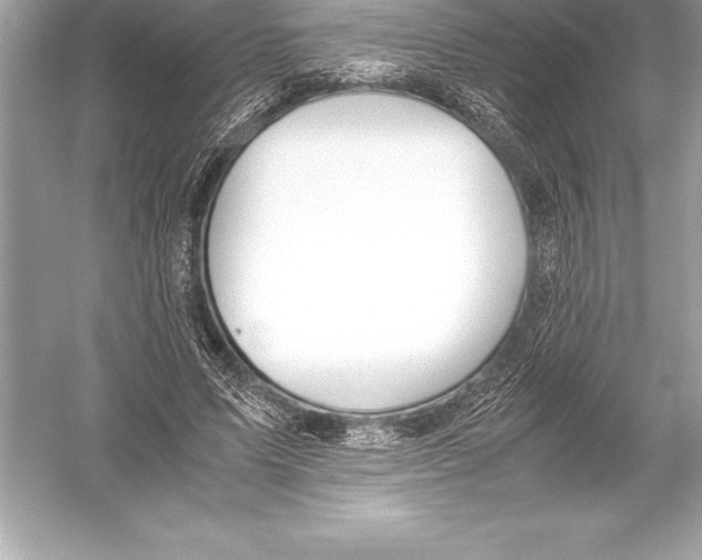 X0000051870591200507221925