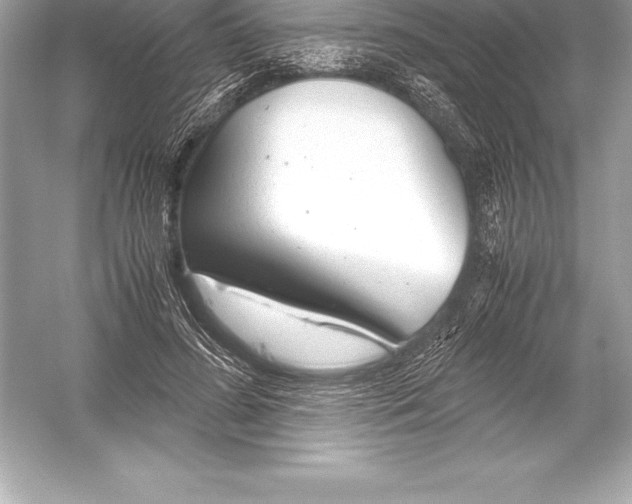 X0000051870596200507221925