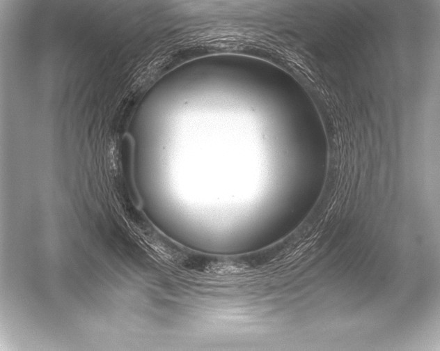 X0000051870597200507221925