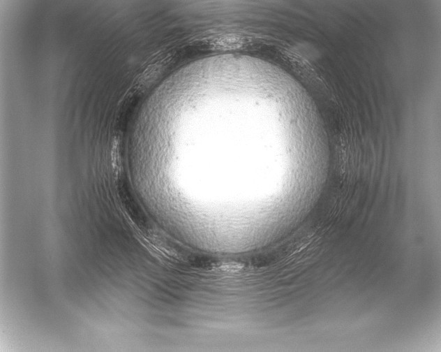 X0000051870598200507221925