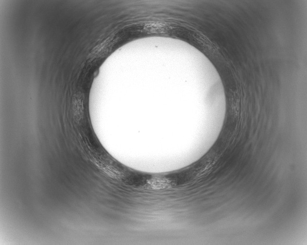 X0000051870603200507221925
