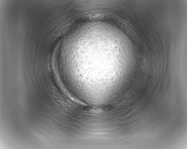 X0000051870604200507221925