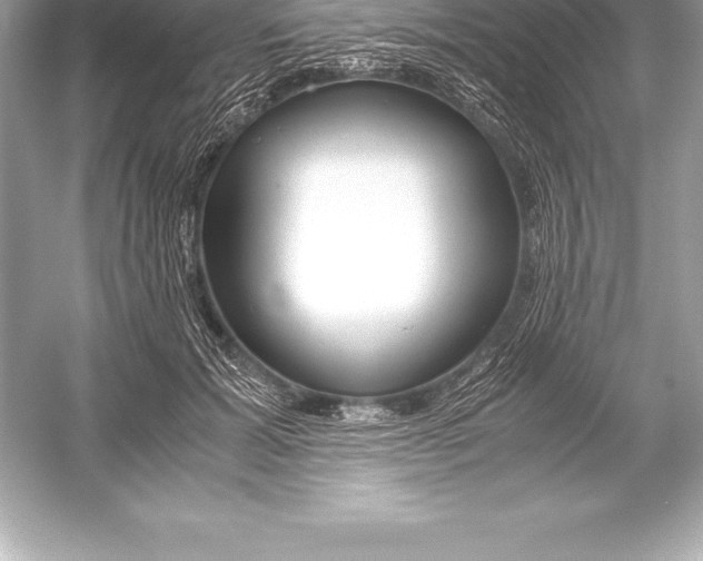 X0000051870605200507221925