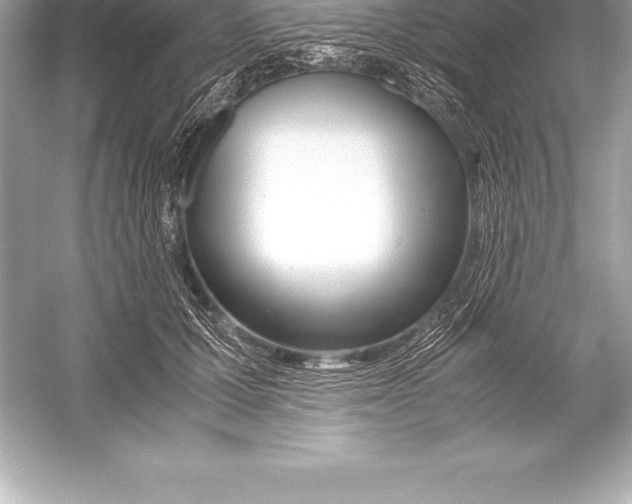 X0000051870607200507221925