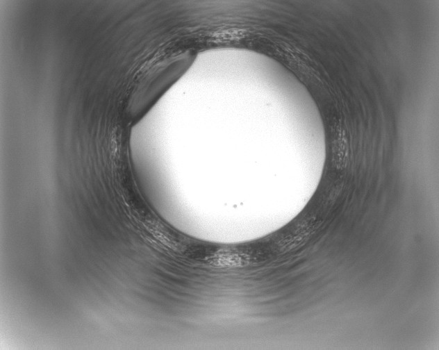 X0000051870608200507221925