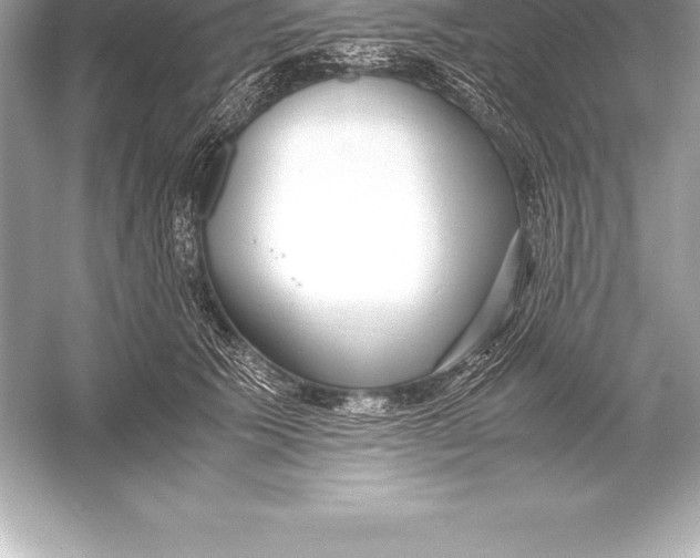 X0000051870609200507221925