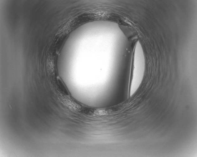 X0000051870613200507221925