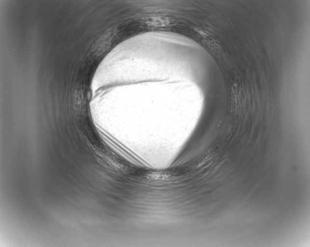 X0000051870614200507221925