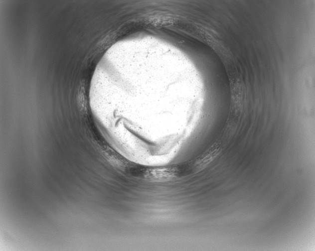 X0000051870622200507221925