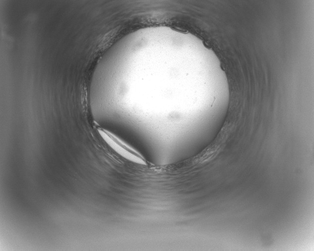 X0000051870624200507221925