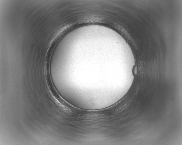 X0000051870629200507221924
