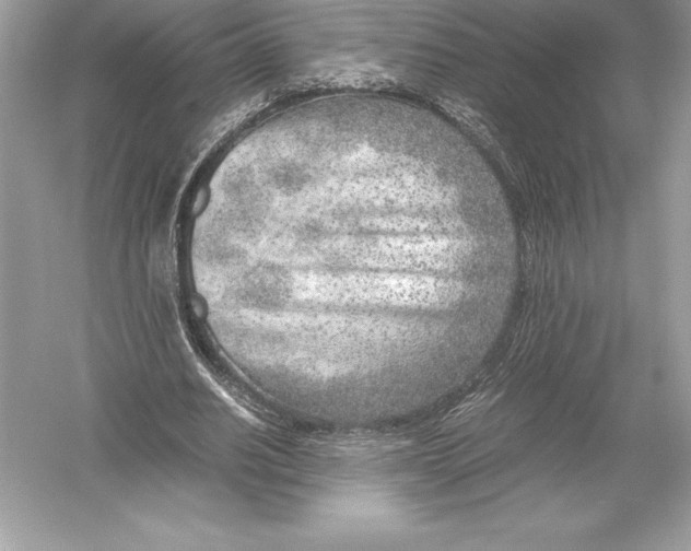 X0000051870630200507221924