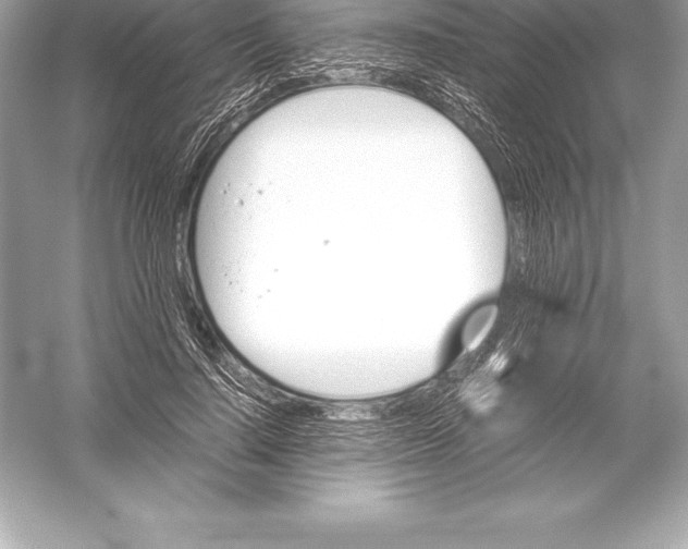 X0000051870644200507221924