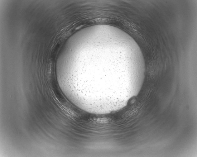 X0000051870645200507221924