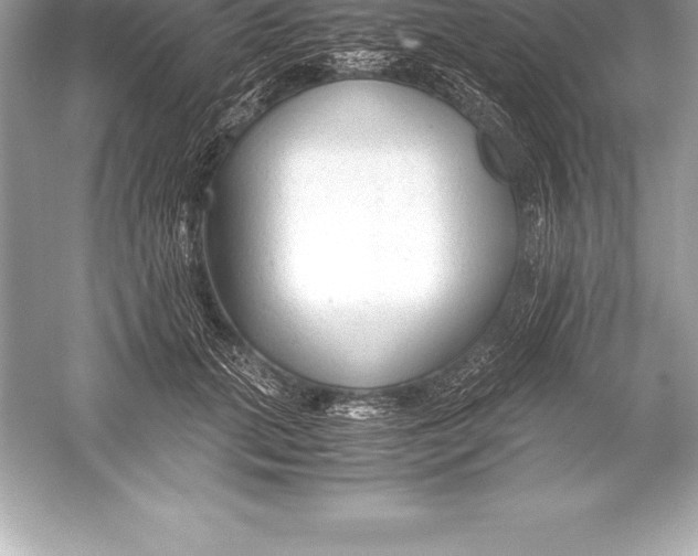 X0000051870655200507221924