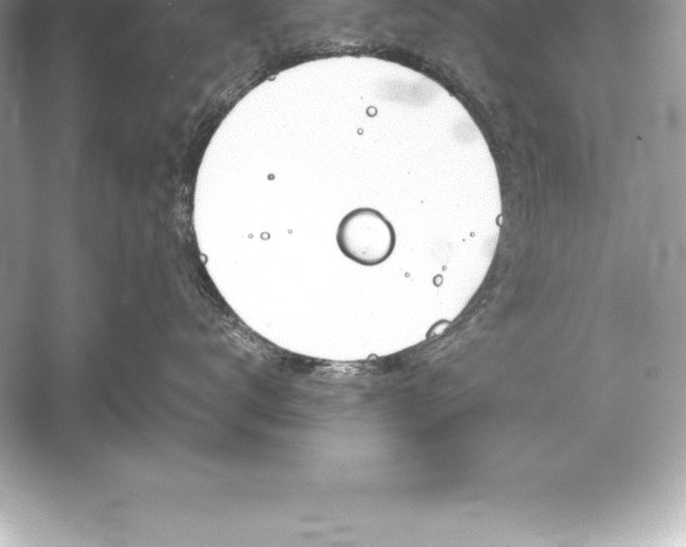 X0000051870672200507221925