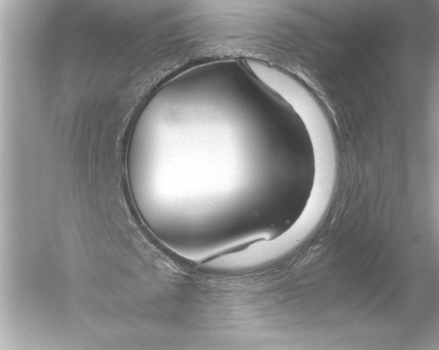 X0000051870673200507221924