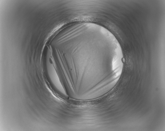 X0000051870674200507221924