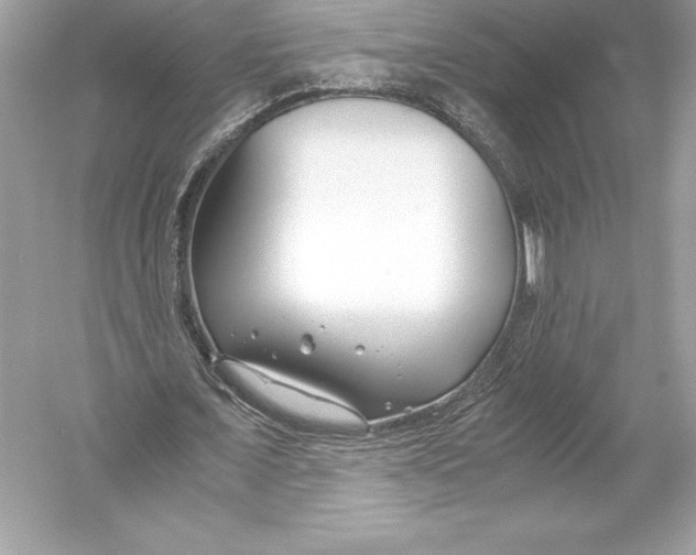X0000051870675200507221924