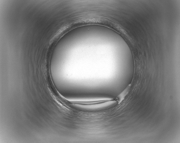X0000051870677200507221924