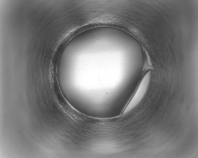 X0000051870680200507221924