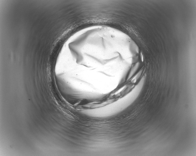 X0000051870684200507221924
