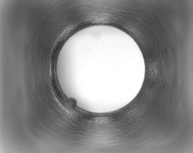 X0000051870686200507221924