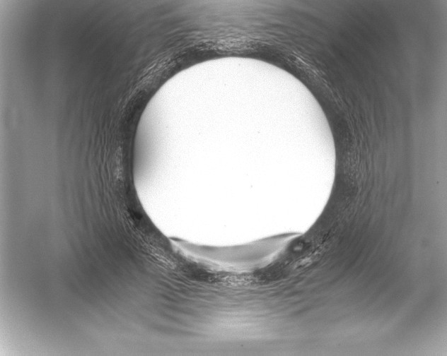 X0000051870689200507221924