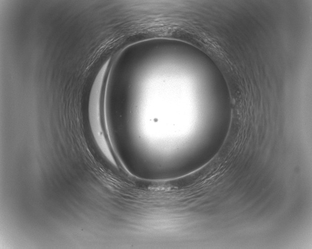 X0000051870693200507221924