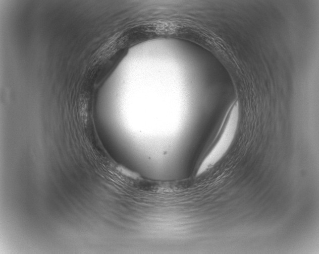 X0000051870697200507221923