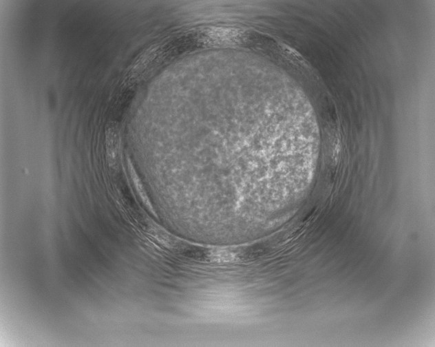 X0000051870701200507221923