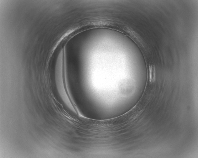 X0000051870723200507221922